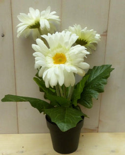 Kunstgerbera wit in pot 25 cm