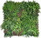 Kunsthaag Mat 100x100 cm - Bonte Planten