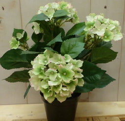 Kunsthortensia wit in pot 35 cm