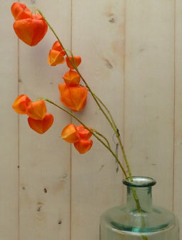 Kunstlampiontak op steker oranje