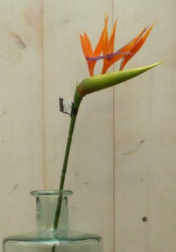 Kunstparadijsvogelbloem strelitzia op steker oranje