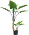 Kunstplant Alocasia dikke stam 120 cm
