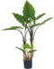 Kunstplant Alocasia Dubbel 120 cm