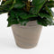 Kunstplant Begonia Geel - H 37cm - Keramiek sierpot - Mica Decorations
