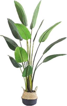 Kunstplant Blad Strelitzia Soft 160 cm