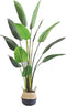 Kunstplant Blad Strelitzia Soft 160 cm