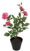 Kunstplant Camellia 25x20x49 cm d.rz