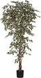 Kunstplant Ficus Hawaii Groen-bont - H 210cm - Kunststof pot - Mica Decorations