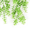 Kunstplant hangplant lengte 70 cm