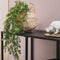 Kunstplant hangplant lengte 70 cm