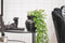 Kunstplant hangplant lengte 70 cm