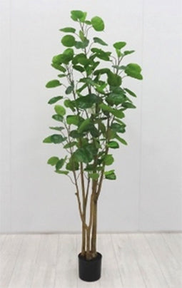 Kunstplant Polyscias 160 cm
