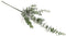 Kunstplant Tak Eucalyptus | Groen | 80 cm