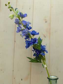 Kunstridderspoor delphinium groot op steker blauw