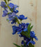Kunstridderspoor delphinium groot op steker blauw