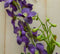 Kunstridderspoor delphinium groot op steker paars