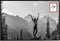 Kunststof Fotolijst New Easy Zwart