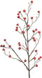 Kunsttak euonymus berry red, 68 cm