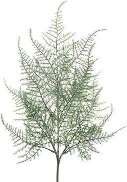 Kunsttak plumosa asparagus frosted, 65 cm