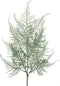 Kunsttak plumosa asparagus frosted, 65 cm