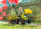 Rolly Toys Rolly FarmTrac Claas - Traptractor met Frontlader