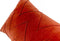 Kussen, 30x50 cm, C312 oranje/rood