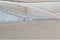 Kussen DKD Home Decor Gouden Polyester Blommor (50 x 10 x 30 cm)