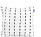 Kussenhoes HappyFriday Blanc Five Multicolour 2 Onderdelen