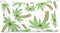 Kussenhoes HappyFriday Pirate Multicolour 50 x 30 cm