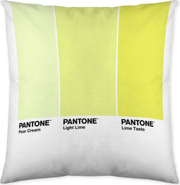 Kussenhoes Ombre C Pantone Localization_B086JQZYZH Omkeerbaar (50 x 50 cm)