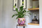 TS Collection - Bloempot Polly pink - 28x25 - Metaal & Epoxy - Exclusieve woonitems voor binnen - Handgemaakt - Unieke print - Designed by Lammie