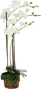 Mica Decorations Kunstplant Phalaenopsis - 30x18x76 cm - Polyester - Wit