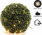 Lumineo Buxus kerstverlichting - 80 led lampjes - warm wit - lichtnet - 50 x 50 cm - kerstlampje buxus boompje
