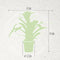 Kamerplant - Guzmania Fiero Orange single