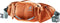 Heuptas Deuter Pulse Oranje