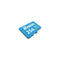 Biwin MS100 - Geheugenkaart Micro SDXC - 256 GB