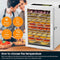 Kwasyo - RVS Dehydrator - Efficiënt Droogproces & Temperatuurregeling