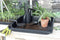Kweekbak/kweekkast starter set antraciet grijs met tuingereedschap - 14-delig - 57 x 46 x 19 cm - Propagator/Moestuinbak
