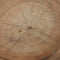 Bazar Bizar - De Corfu Kruk - Mungurr hout - H = 45 cm