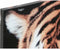 HomeLuxery- Schilderij DKD Home Decor Tijger Pijnboom Canvas (5 pcs) (2 pcs)