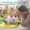 Sweet Sprout Babygym - Speelmat 75x52x39cm - Geluiden - Rammelaar