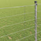 vidaXL - Veldhek - 1.2x25 - m - Gegalvaniseerd - Staal