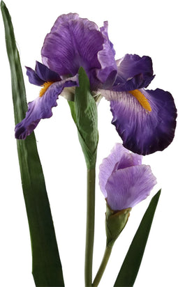PTMD Garden Bloem Iris Kunsttak - 70 x 21 x 95 cm - Paars