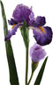 PTMD Garden Bloem Iris Kunsttak - 70 x 21 x 95 cm - Paars