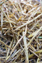 Divro - Stro - 2,5 kg voor knaagdieren (1 x 2,5 KG)