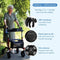 Safe Age® - Universele Bekerhouder & Telefoonhouder - 2-in-1 design - Zwart