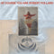 Robert Pollard - Of Course You Are - LP - Standard Edition