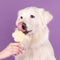 Smoofl Premium Hondensnacks: Ijs voor honden als een snack om af te koelen in de zomer en als een gezonde hond traktatie met verfrissend effect, honden ijs met banaan