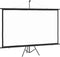 vidaXL - Projectiescherm - met - statief - 16:9 - 100''