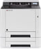 Kyocera ECOSYS P5021cdn - Laserprinter